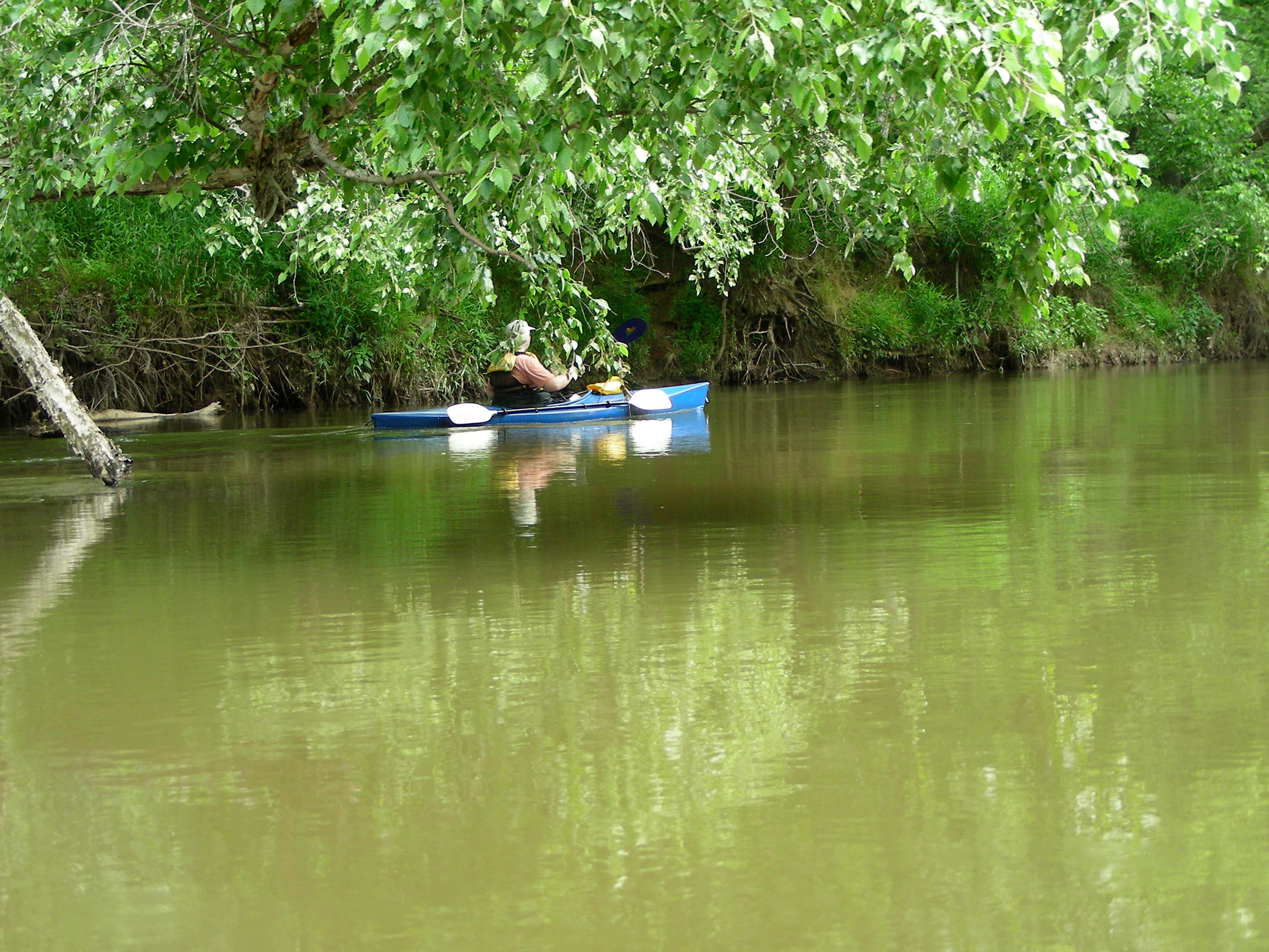 ./2012/Neuse River/DSCN8636.JPG